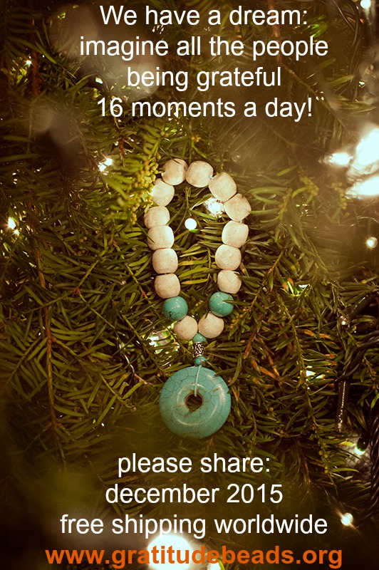 imagine grateful 16 moments a day